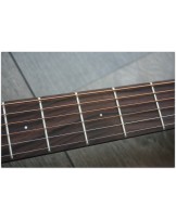 TASMAN "TA 200 O-E OM with original hardcase"