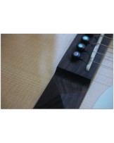 TASMAN "TA 200 O-E OM with original hardcase"