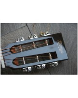 TASMAN "TA 100P-E Parlour with original hardcase"