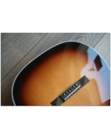 TASMAN "TA 100P-E Parlour with original hardcase"