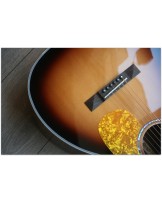 TASMAN "TA 100P-E Parlour with original hardcase"