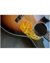 TASMAN "TA 100P-E Parlour with original hardcase"