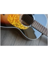 TASMAN "TA 100P-E Parlour with original hardcase"