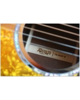 TASMAN "TA 100P-E Parlour with original hardcase"