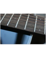 TASMAN "TA 100P-E Parlour with original hardcase"