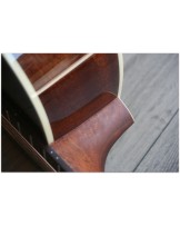 TASMAN "TA 100P-E Parlour with original hardcase"