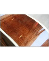 TASMAN "TA 100P-E Parlour with original hardcase"