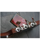 TASMAN "TA 100P-E Parlour with original hardcase"