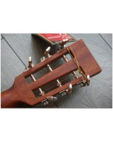 TASMAN "TA 100P-E Parlour with original hardcase"