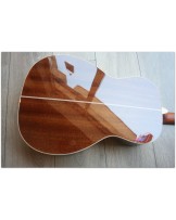 TASMAN "TA 100P-E Parlour with original hardcase"