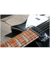 RICKENBACKER "620 Black"
