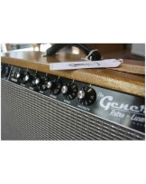 GENERAL " Retro Luxe Reverb 1963 Custom Gold Glitter sparkle 15” "