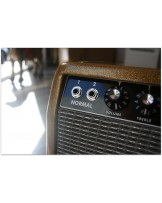 GENERAL " Retro Luxe Reverb 1963 Custom Gold Glitter sparkle 15” "