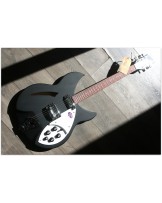 RICKENBACKER "330 Matte Black"