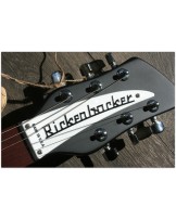 RICKENBACKER "330 Matte Black"
