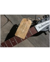 RICKENBACKER "330 Matte Black"