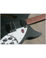 RICKENBACKER "330 Matte Black"