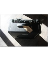 SUPRO "Blues King 10"