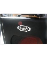 SUPRO "Blues King 10"