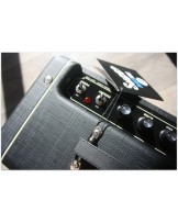 SUPRO "Blues King 10"