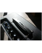 SUPRO "Blues King 10"