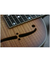 NATIONAL "Resophonic 12 Fret Stralita DELUXE "