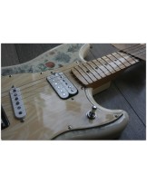 FENDER "Shawn Mendes Foundation Musicmaster"