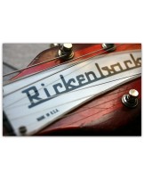 RICKENBACKER "Model 340 Fireglo" VERY RARE !!!!!!!!!! ORIGINAL DE ENERO DE 1967!!!!!