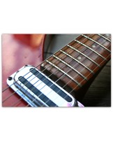 RICKENBACKER "Model 340 Fireglo" VERY RARE !!!!!!!!!! ORIGINAL DE ENERO DE 1967!!!!!