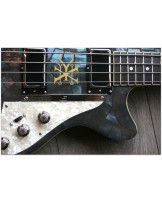 DUESENBERG "Alliance Soundgarden Black Hole Sun"