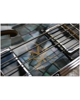 DUESENBERG "Alliance Soundgarden Black Hole Sun"