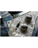 DUESENBERG "Alliance Soundgarden Black Hole Sun"