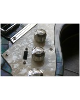 DUESENBERG "Alliance Soundgarden Black Hole Sun"