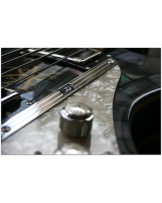 DUESENBERG "Alliance Soundgarden Black Hole Sun"