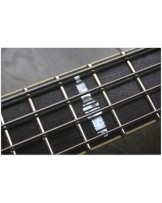 DUESENBERG "Alliance Soundgarden Black Hole Sun"