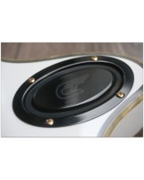 DUESENBERG "Startplayer TV Phonic Venetian White"