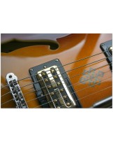 DUESENBERG "Alliance Joe Walsh"