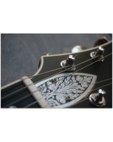 MF 500 Metal Front Series