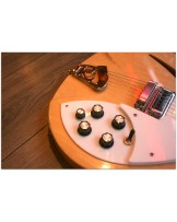 RICKENBACKER "330 MapleGlo Natural" (2013)