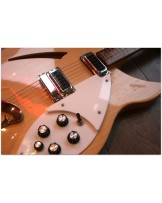 RICKENBACKER "330 MapleGlo Natural" (2013)