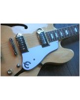 EPIPHONE "Casino Natural"