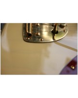Fender Fender "Limited Edition Jazzmaster"
