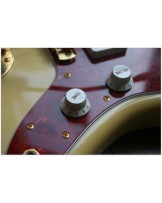 Fender Fender "Limited Edition Jazzmaster"