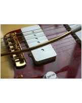 Fender Fender "Limited Edition Jazzmaster"