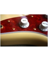 Fender Fender "Limited Edition Jazzmaster"