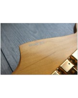 Fender Fender "Limited Edition Jazzmaster"