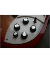 RICKENBACKER "Model 340 Fireglo" VERY RARE !!!!!!!!!! ORIGINAL DE ENERO DE 1967!!!!!