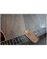 EASTMAN "E40 D Sunburst" HARDCASE