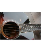 EASTMAN "E40 D Sunburst" HARDCASE
