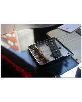 GENERAL VINTAGE TONE "1960s Custom Special Black Candy black sparkle Charlie Christian"